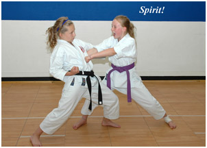 Karate spirit